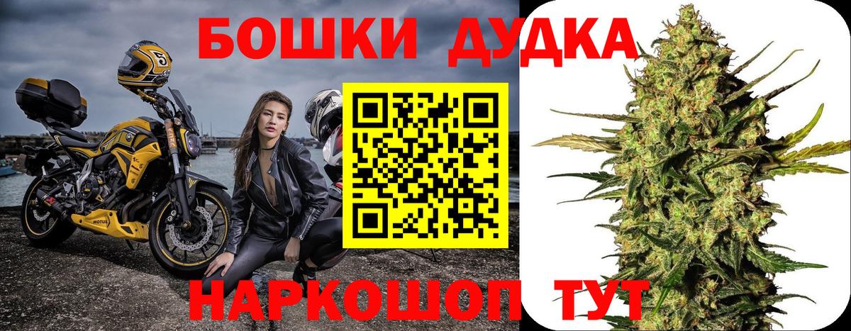 Каннабис гибрид Муравленко